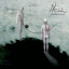 Healing Process (2006)