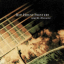 songs for a blue guitar (1996)